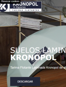 Diseño web - Kronopol España 