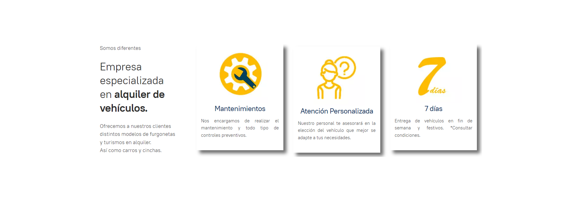 rental car caracteristicas